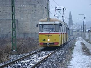 Die Bengalis von Miskolc sind seit November 2004 nur ausnahmsweise zu sehen