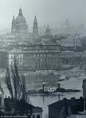 The Academy of Sciences and the Danube seen from the Castle. Photo by dr. Jenő Sevcsik