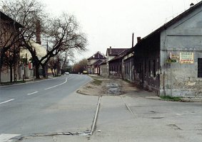 Szelényi Gábor felvétele