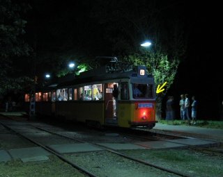 A kocsi orra tl vilgos, a tbbi stt