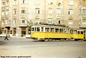 Nagy Zsolt Levente gyjtemnybl